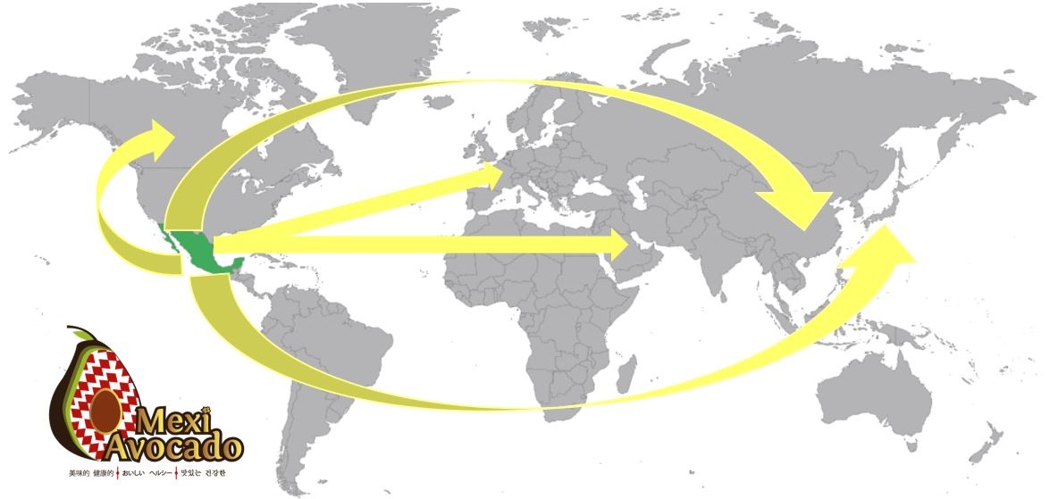IntroMap_MexiAvocadoMarkets IntroMap_MexiAvocadoMarkets